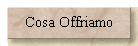 Cosa Offriamo